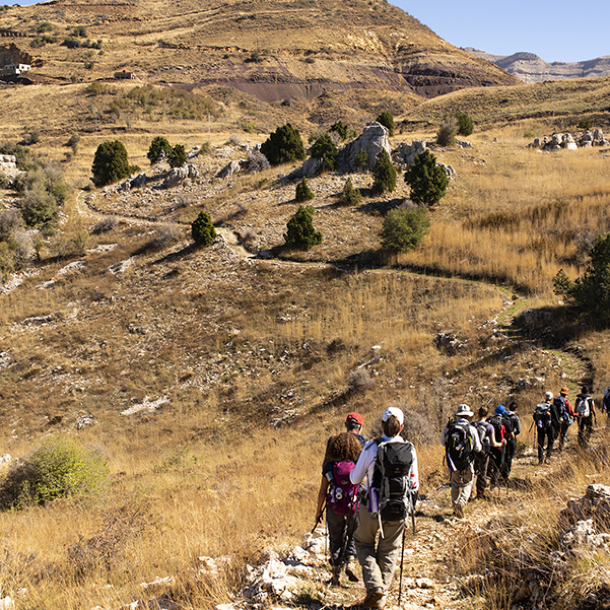 Marcher sur le premier sentier de grande randonnée au Pays du Cèdre ...