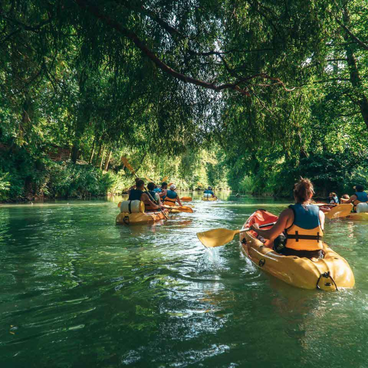 bassin kayak tours